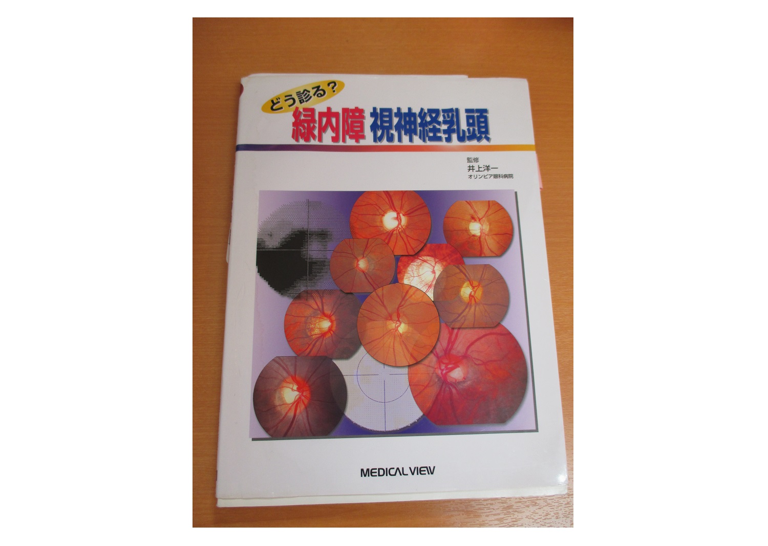 写真：実施モデル