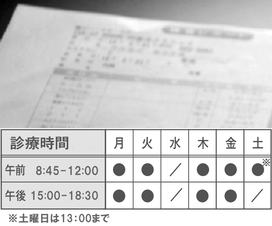 写真：診察風景
